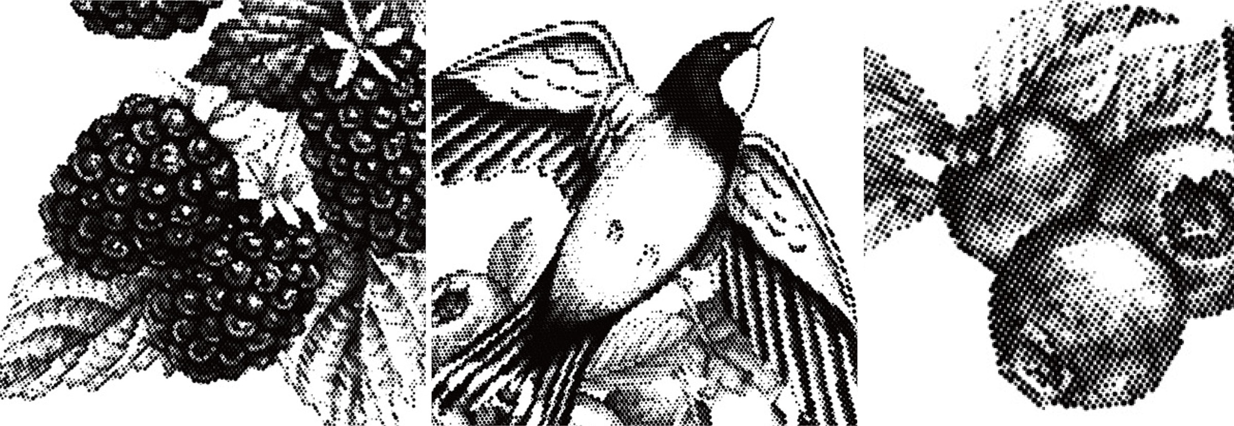 未标题-1_画板 1.jpg